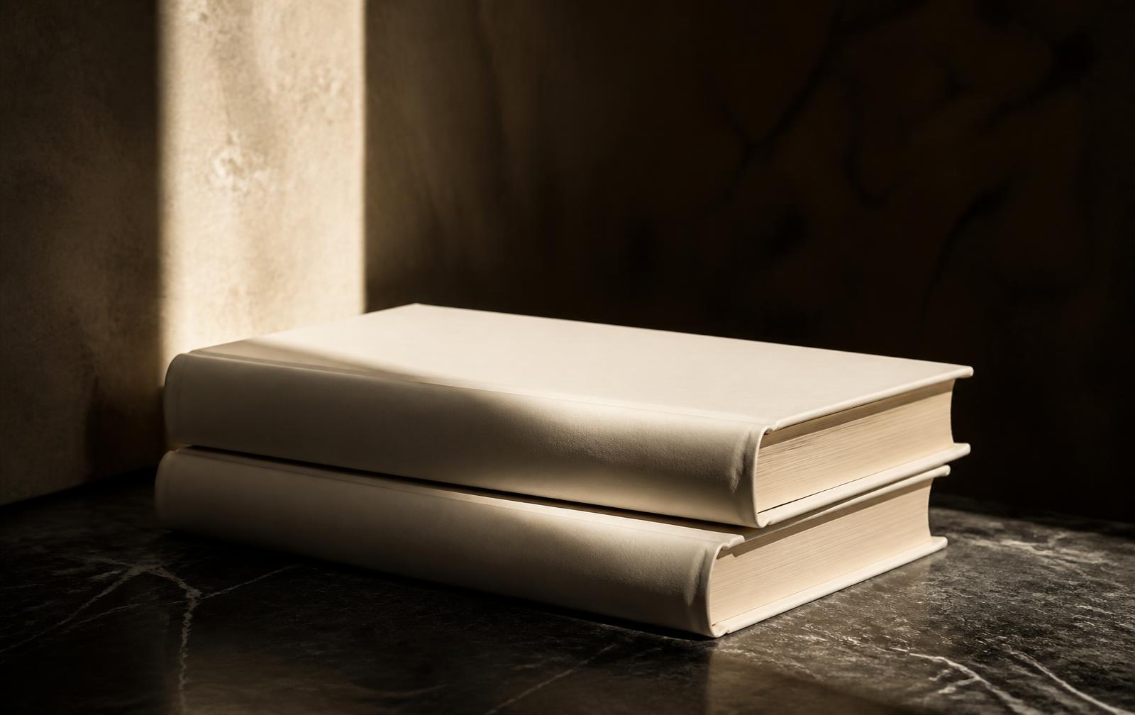 Two unmarked hardcover books resting on dark stone in a shaft of daylight